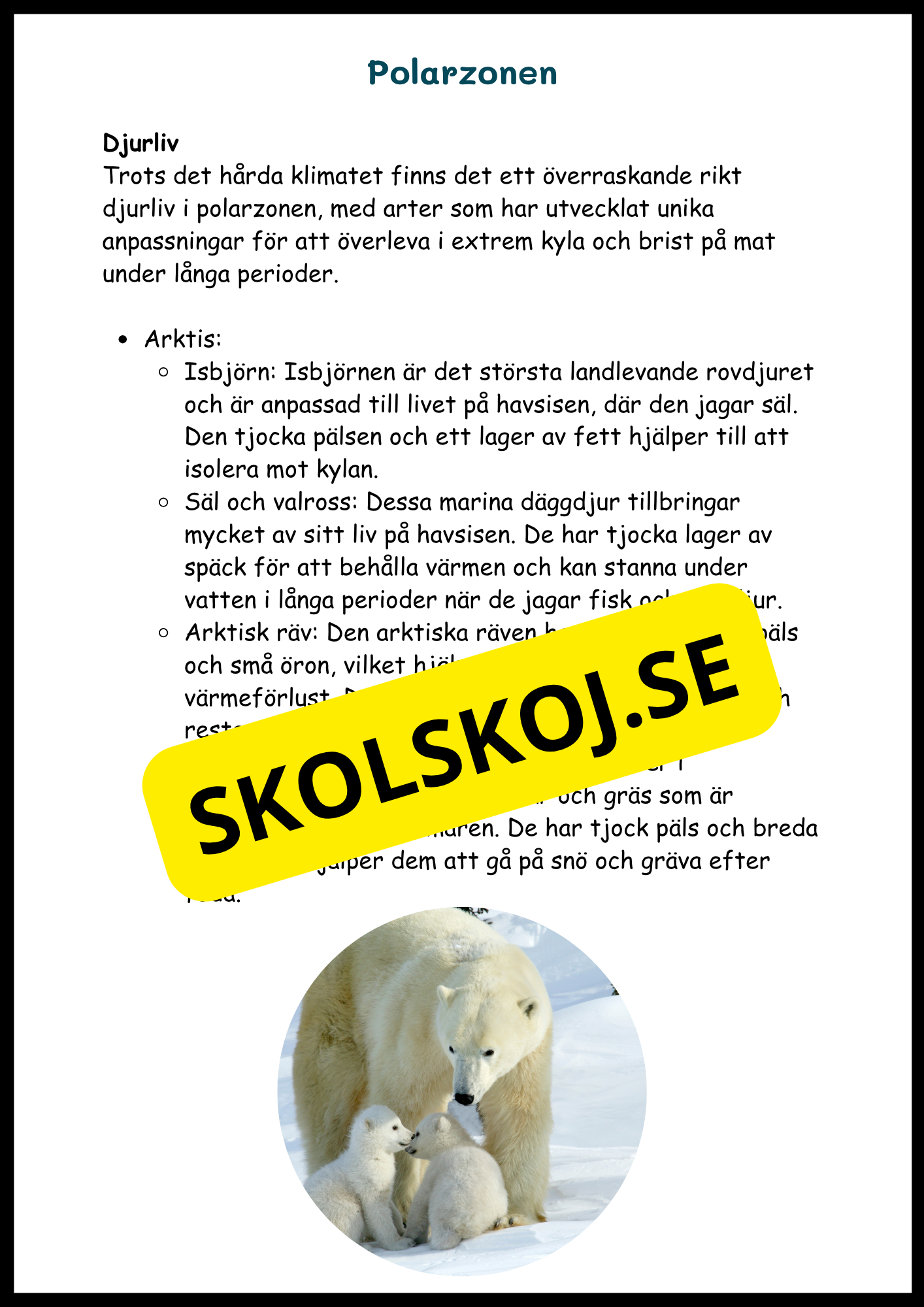 Upptäck jordens klimat- och vegetationszoner