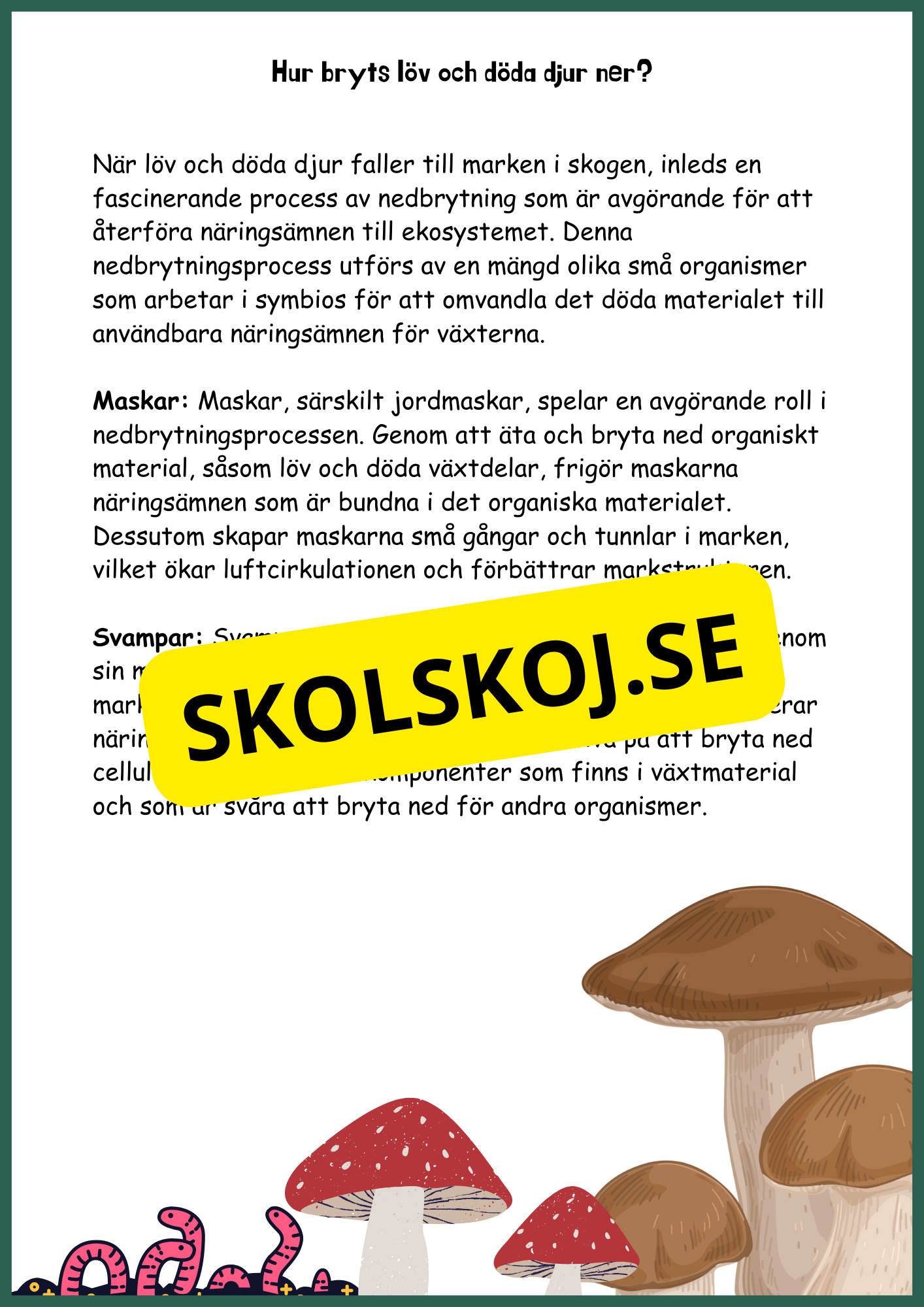 Upptäck skogens hemligheter - Årskurs 4 - 6
