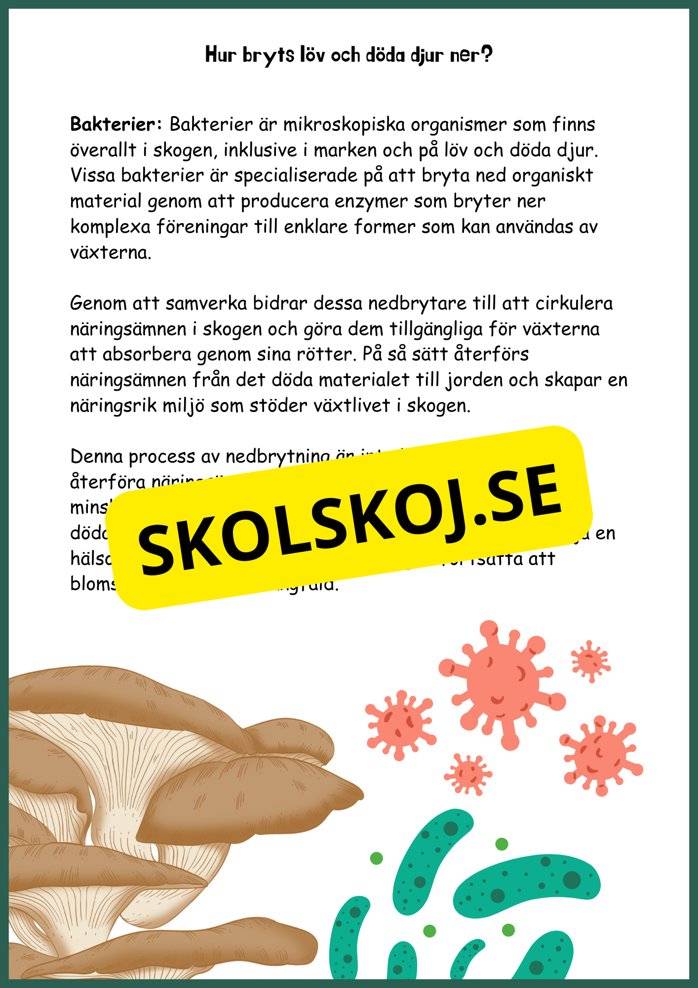 Upptäck skogens hemligheter - Årskurs 4 - 6