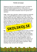 Upptäck skogens hemligheter - Årskurs 4 - 6