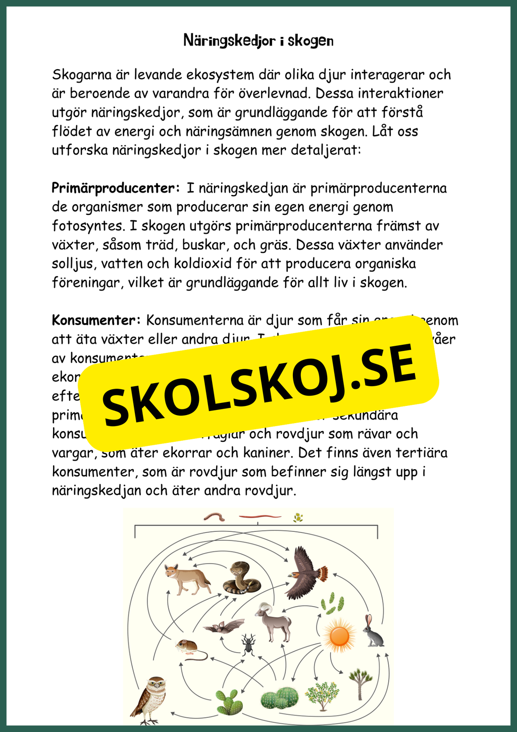 Upptäck skogens hemligheter - Årskurs 4 - 6