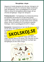Upptäck skogens hemligheter - Årskurs 4 - 6