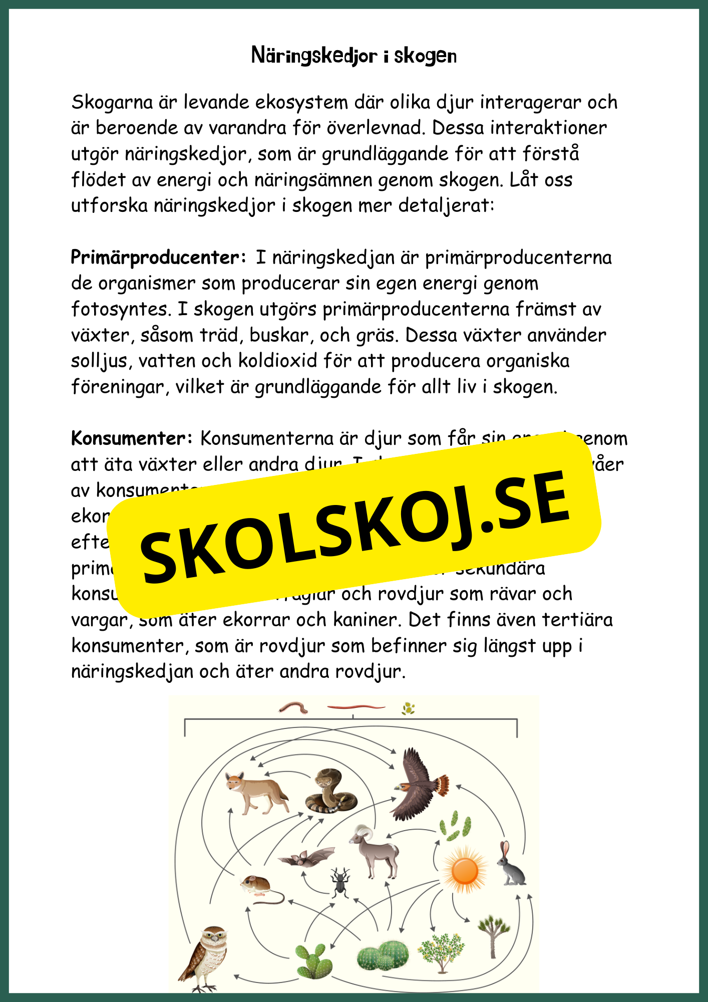 Upptäck skogens hemligheter - Årskurs 4 - 6