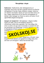 Upptäck skogens hemligheter - Årskurs 4 - 6