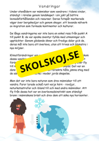 Utforska stenåldern