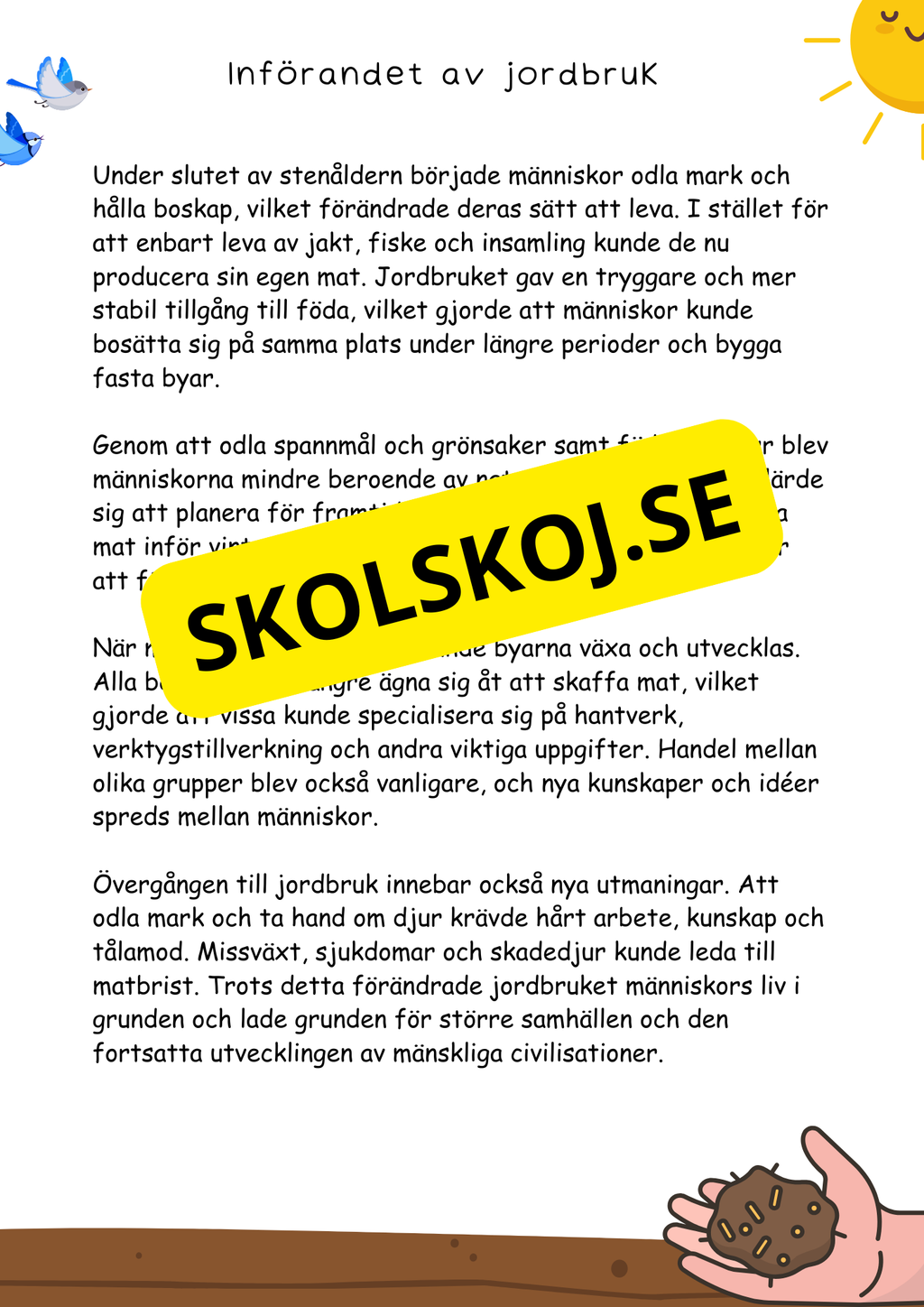 Utforska stenåldern