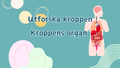 Utforska kroppen - Kroppens organ - Interaktiv lektion och övningar