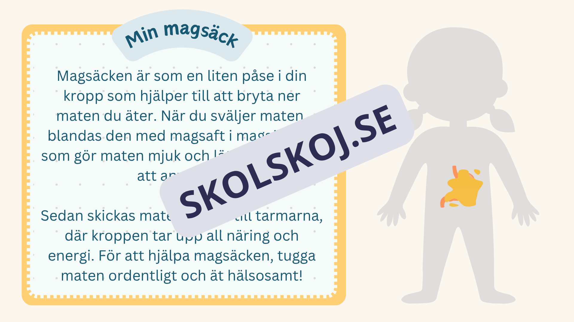 Utforska kroppen - Kroppens organ - Interaktiv lektion och övningar
