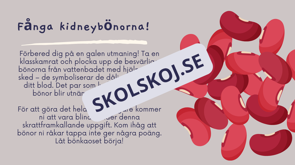 Utforska kroppen - Kroppens organ - Interaktiv lektion och övningar