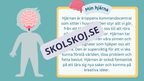 Utforska kroppen - Kroppens organ - Interaktiv lektion och övningar