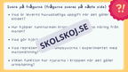 Utforska kroppen - Kroppens organ - Interaktiv lektion och övningar