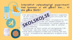 Utforska kroppen - Kroppens organ - Interaktiv lektion och övningar