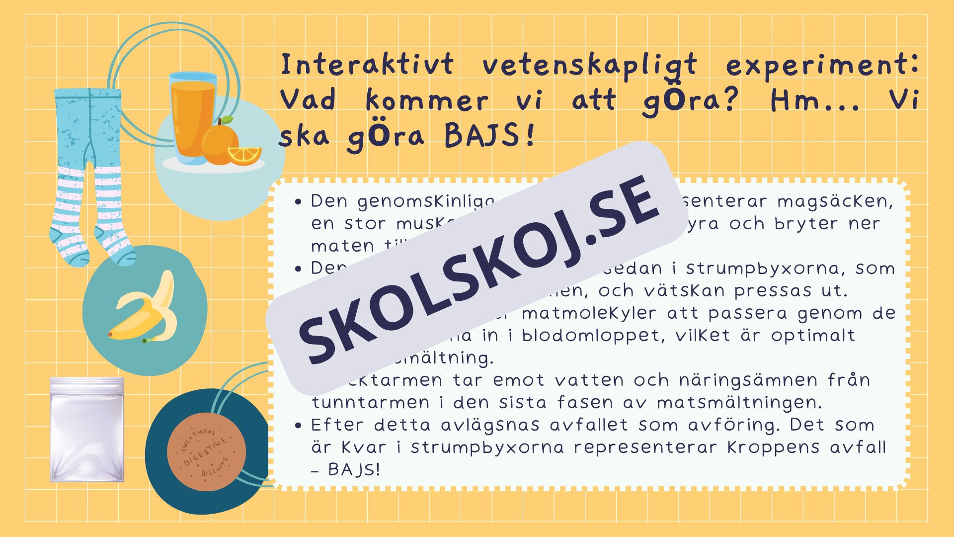 Utforska kroppen - Kroppens organ - Interaktiv lektion och övningar