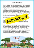Utforska luften - Årskurs 4 - 6