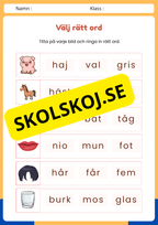 Välj rätt ord