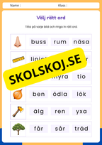 Välj rätt ord