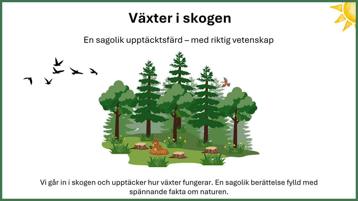 Växter i skogen - NO - Årskurs 4 - 6