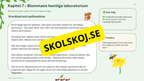 Växter i skogen - NO - Årskurs 4 - 6