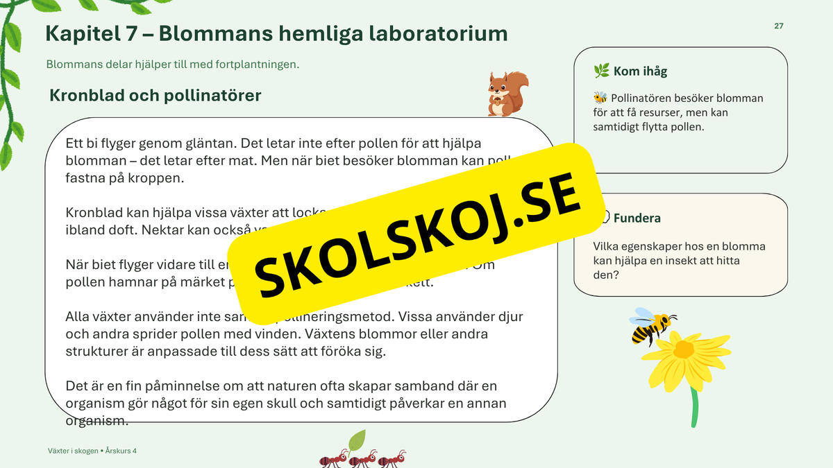 Växter i skogen - NO - Årskurs 4 - 6