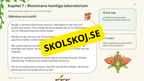 Växter i skogen - NO - Årskurs 4 - 6