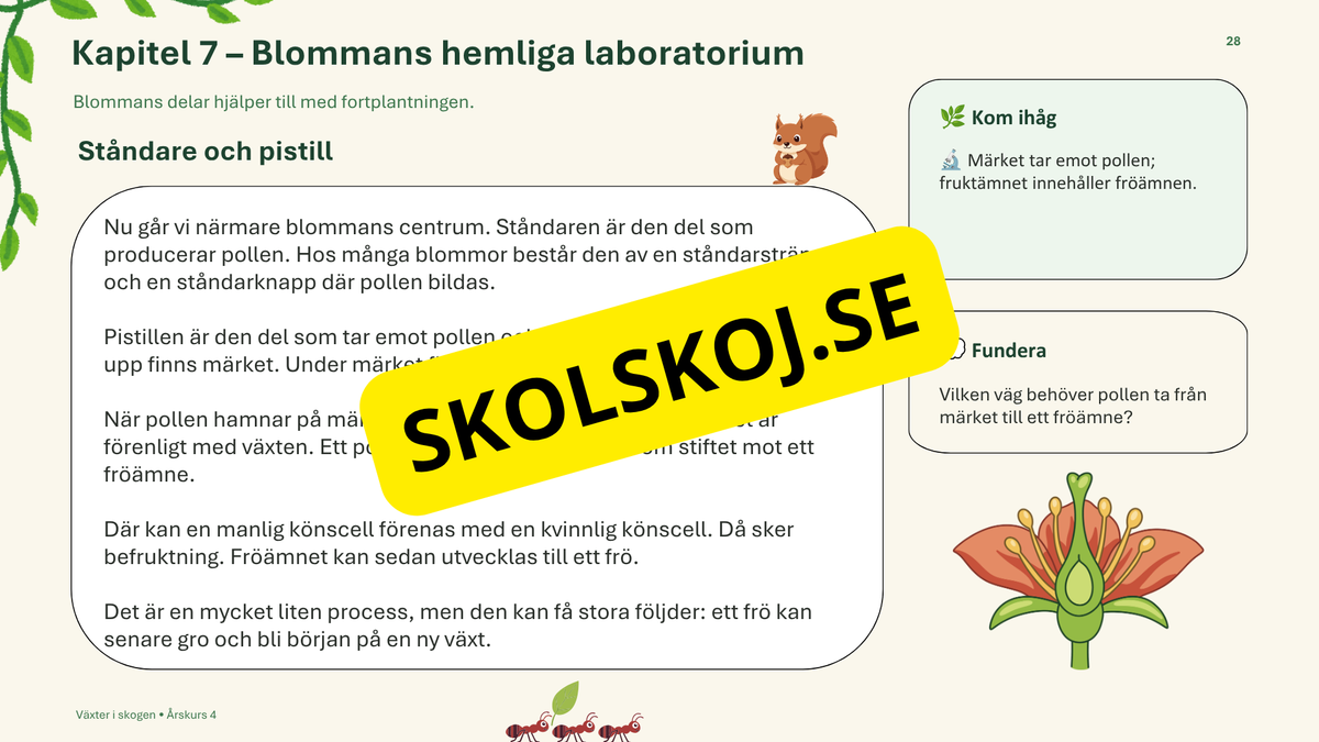 Växter i skogen - NO - Årskurs 4 - 6