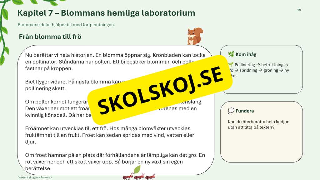 Växter i skogen - NO - Årskurs 4 - 6