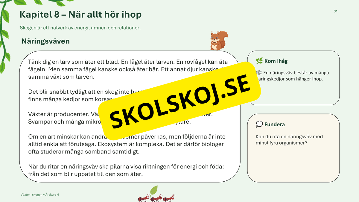 Växter i skogen - NO - Årskurs 4 - 6