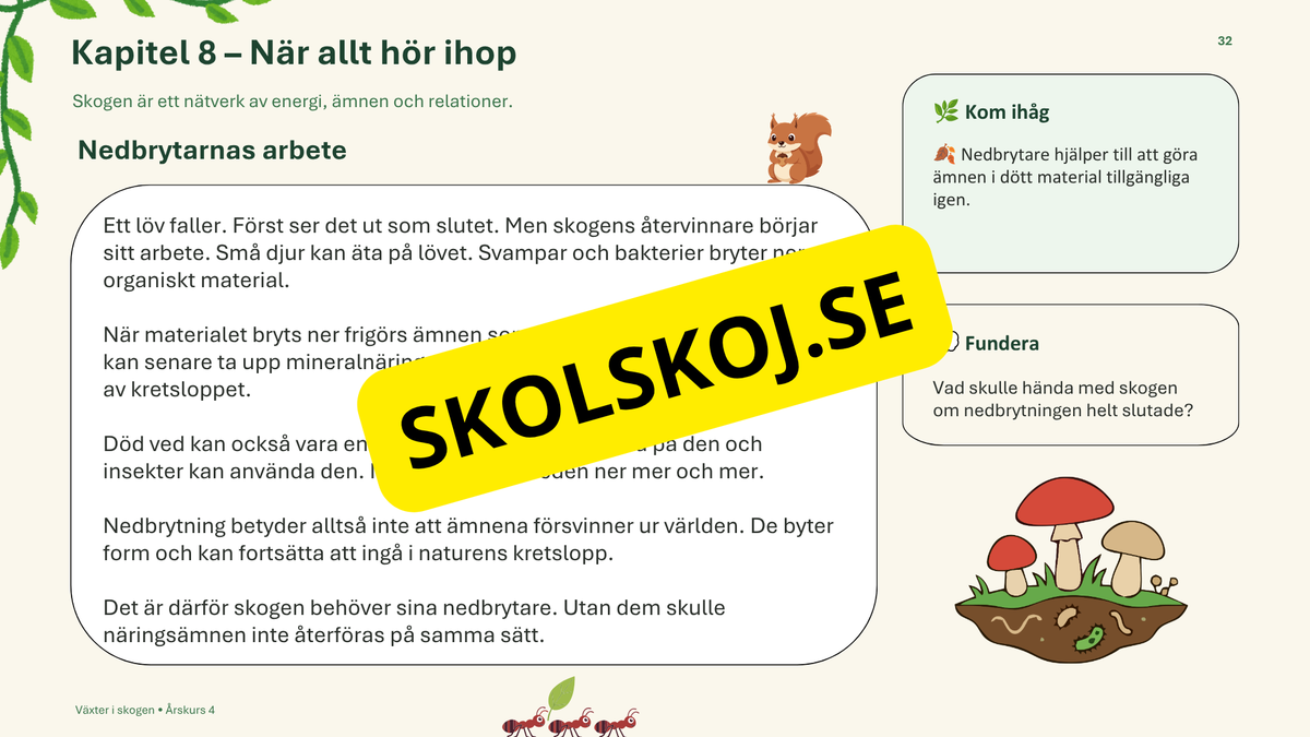 Växter i skogen - NO - Årskurs 4 - 6