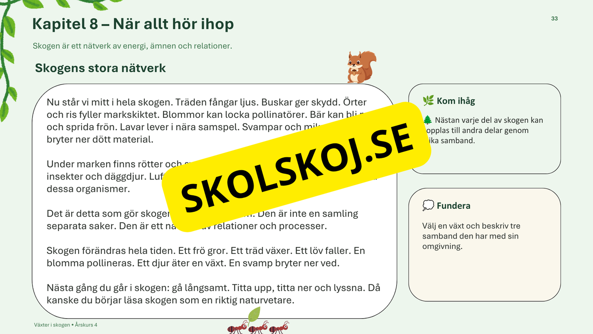Växter i skogen - NO - Årskurs 4 - 6