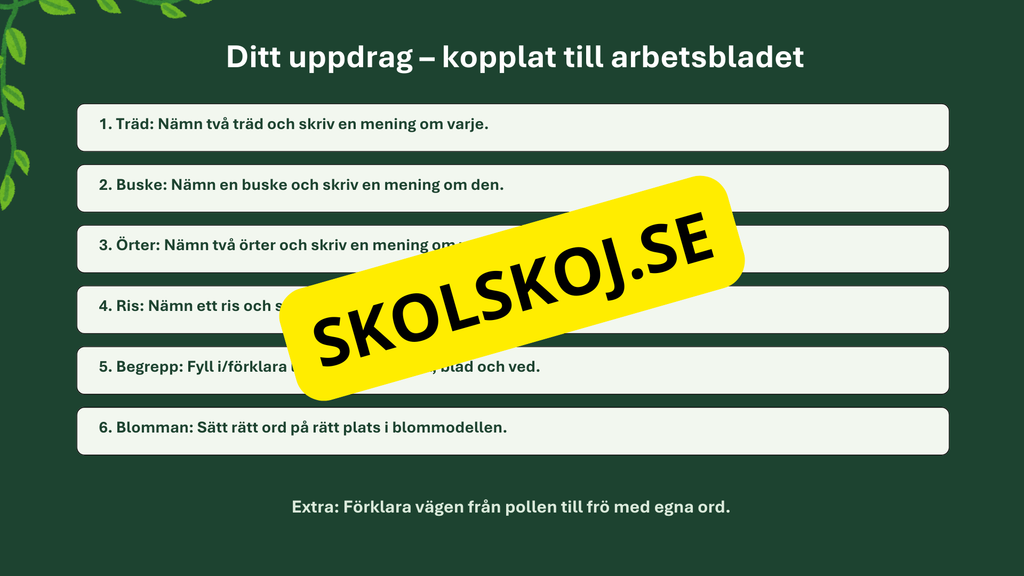 Växter i skogen - NO - Årskurs 4 - 6