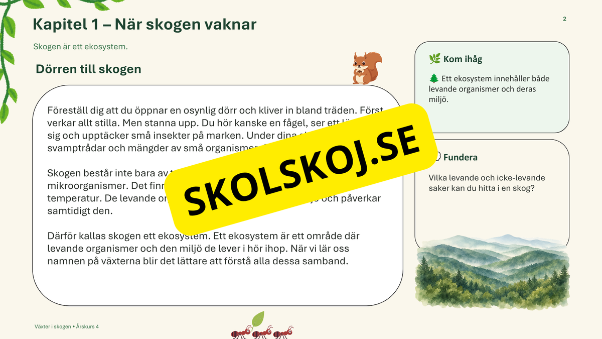 Växter i skogen - NO - Årskurs 4 - 6