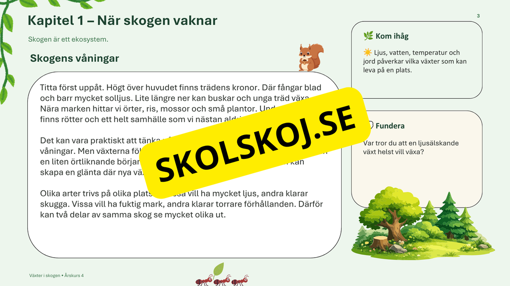 Växter i skogen - NO - Årskurs 4 - 6