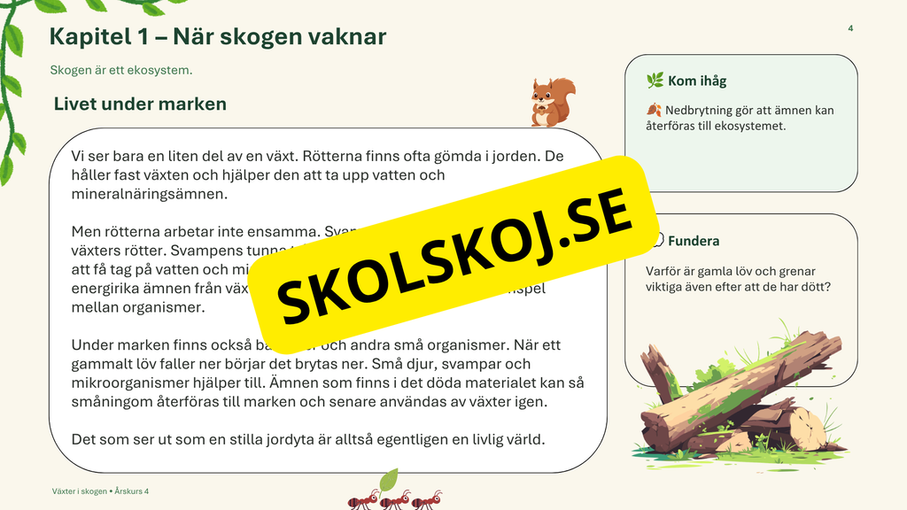 Växter i skogen - NO - Årskurs 4 - 6
