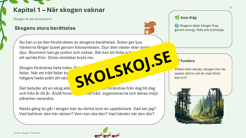 Växter i skogen - NO - Årskurs 4 - 6