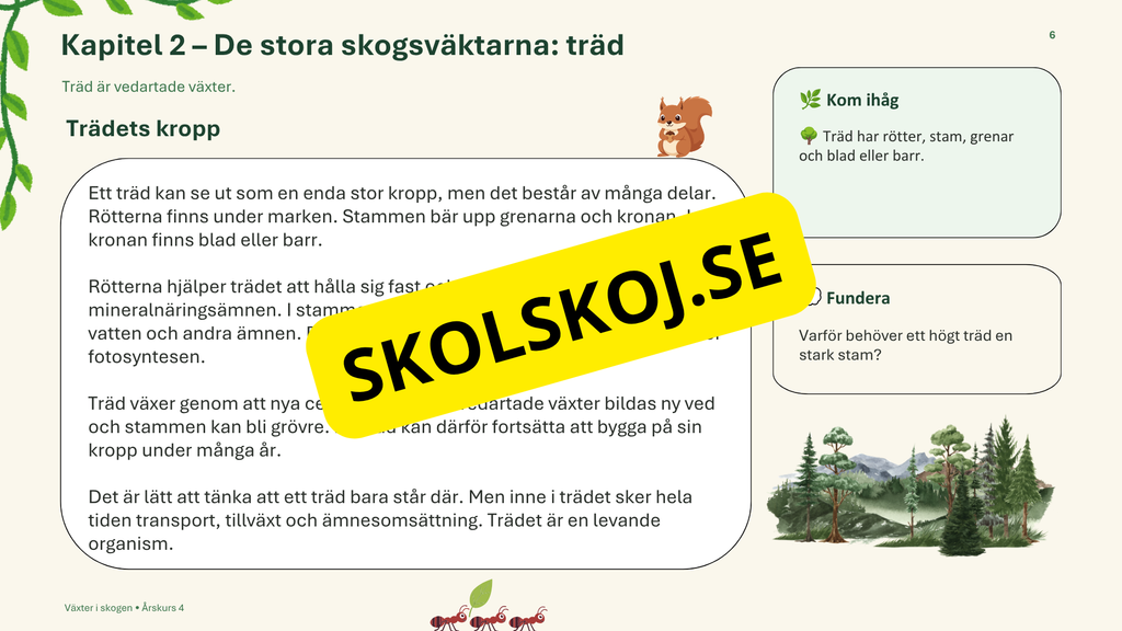 Växter i skogen - NO - Årskurs 4 - 6