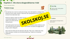 Växter i skogen - NO - Årskurs 4 - 6