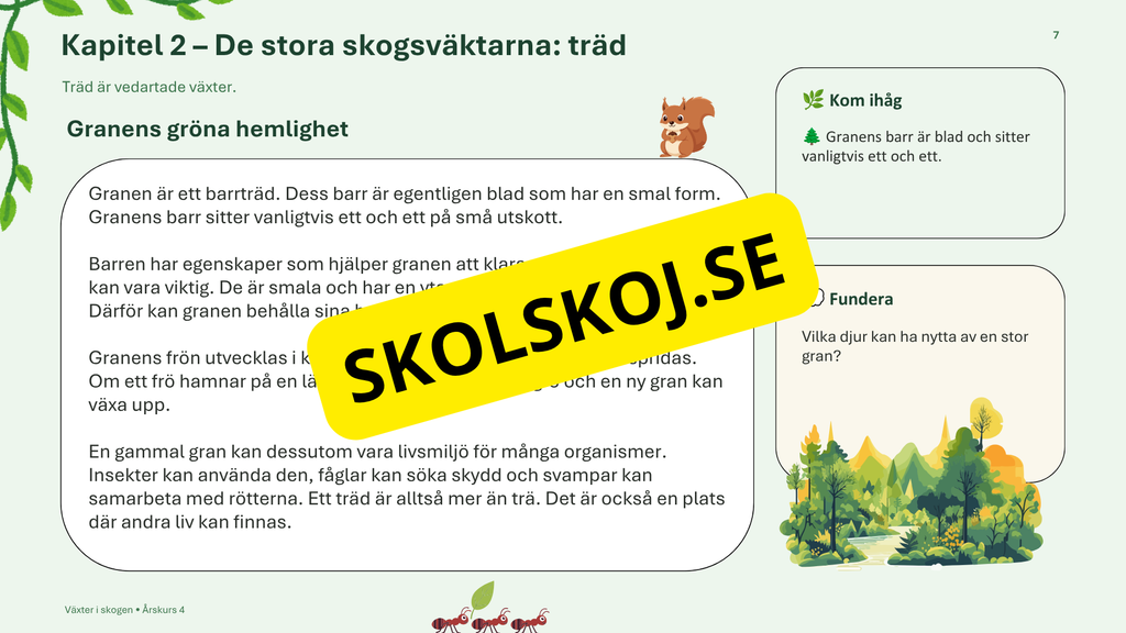 Växter i skogen - NO - Årskurs 4 - 6
