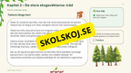 Växter i skogen - NO - Årskurs 4 - 6