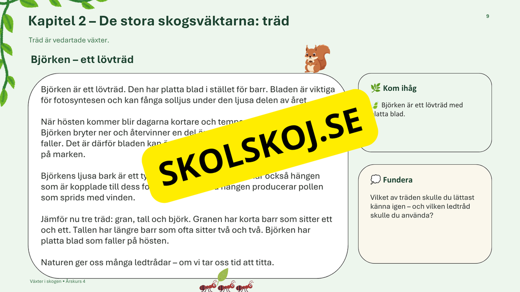 Växter i skogen - NO - Årskurs 4 - 6