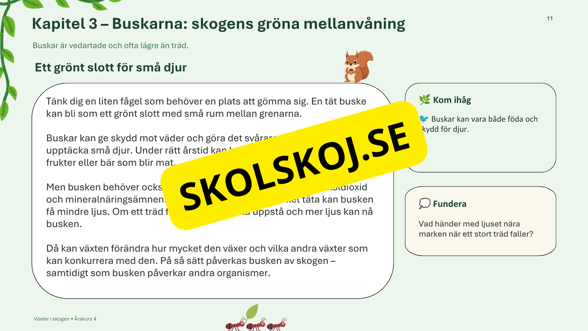 Växter i skogen - NO - Årskurs 4 - 6