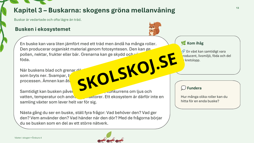 Växter i skogen - NO - Årskurs 4 - 6