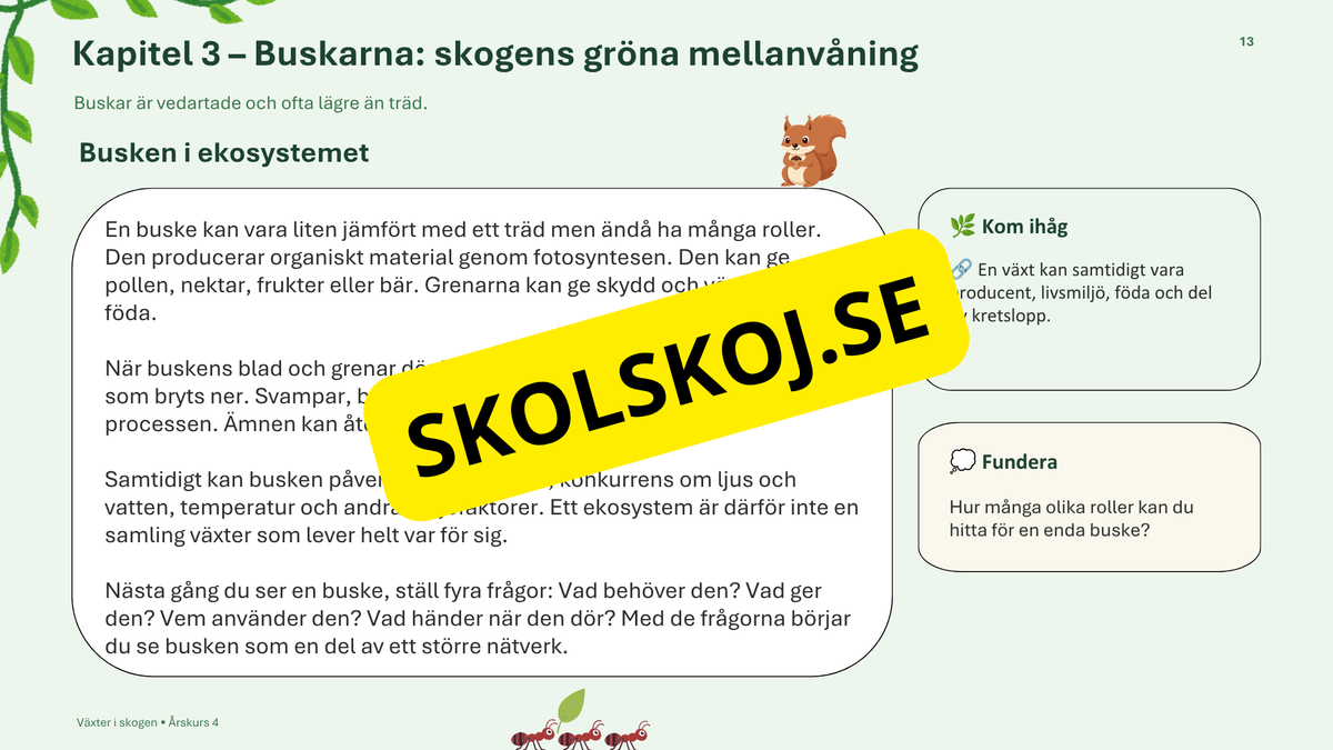 Växter i skogen - NO - Årskurs 4 - 6