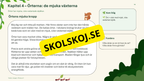 Växter i skogen - NO - Årskurs 4 - 6