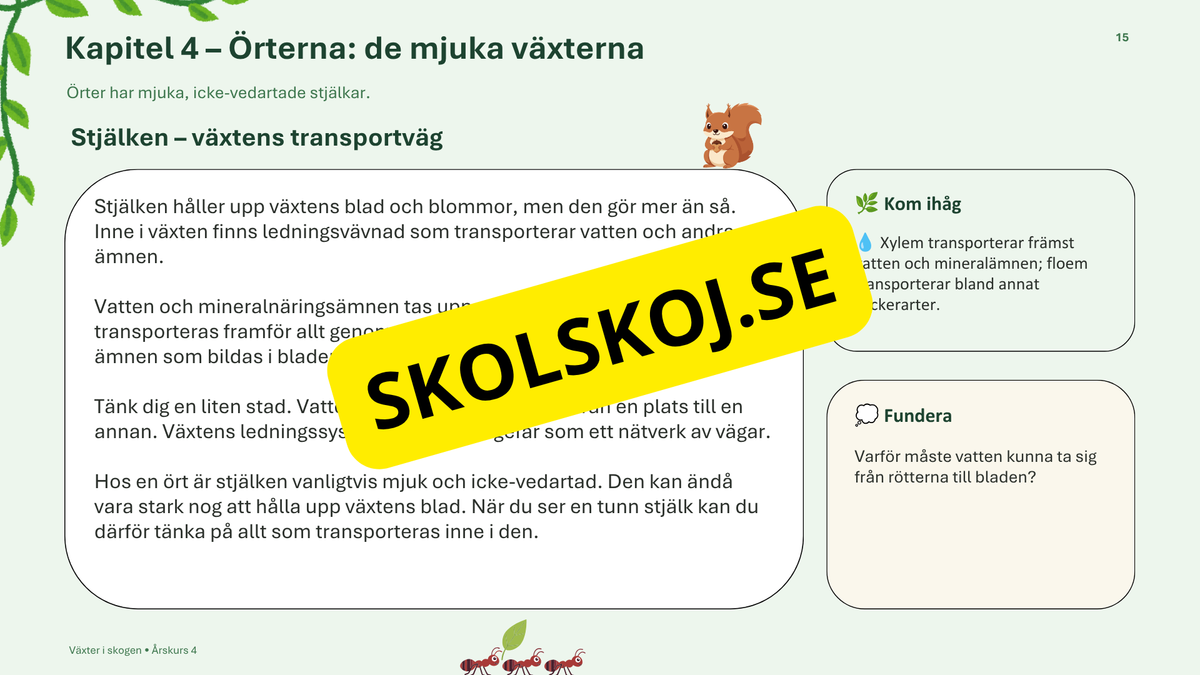 Växter i skogen - NO - Årskurs 4 - 6