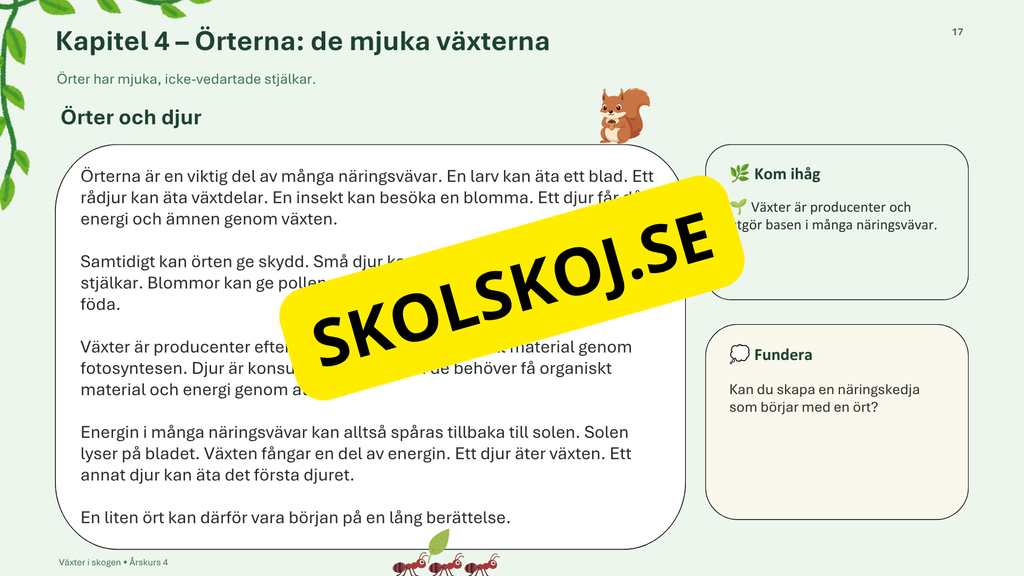 Växter i skogen - NO - Årskurs 4 - 6