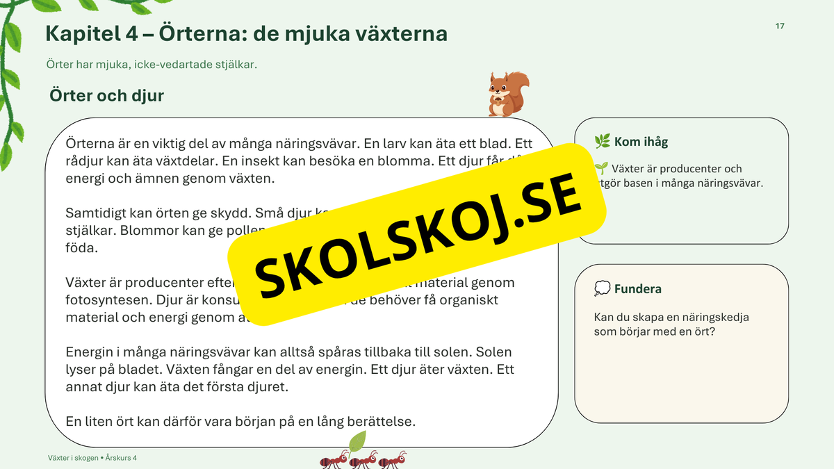 Växter i skogen - NO - Årskurs 4 - 6