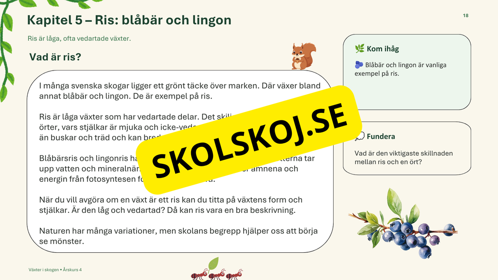 Växter i skogen - NO - Årskurs 4 - 6