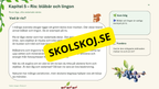 Växter i skogen - NO - Årskurs 4 - 6
