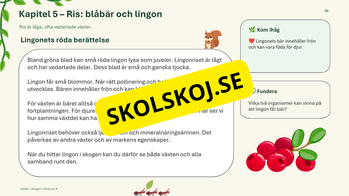 Växter i skogen - NO - Årskurs 4 - 6
