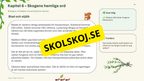 Växter i skogen - NO - Årskurs 4 - 6